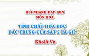 Tính chất hóa học đặc trưng của Sắt 2 là gì? Hỏi nhanh đáp gọn môn Hóa